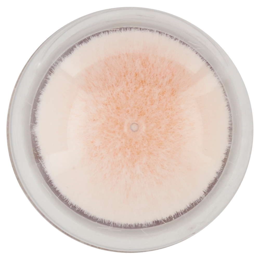 Maybelline New York Correttore Liquido Il Cancella Età, 00 Ivory